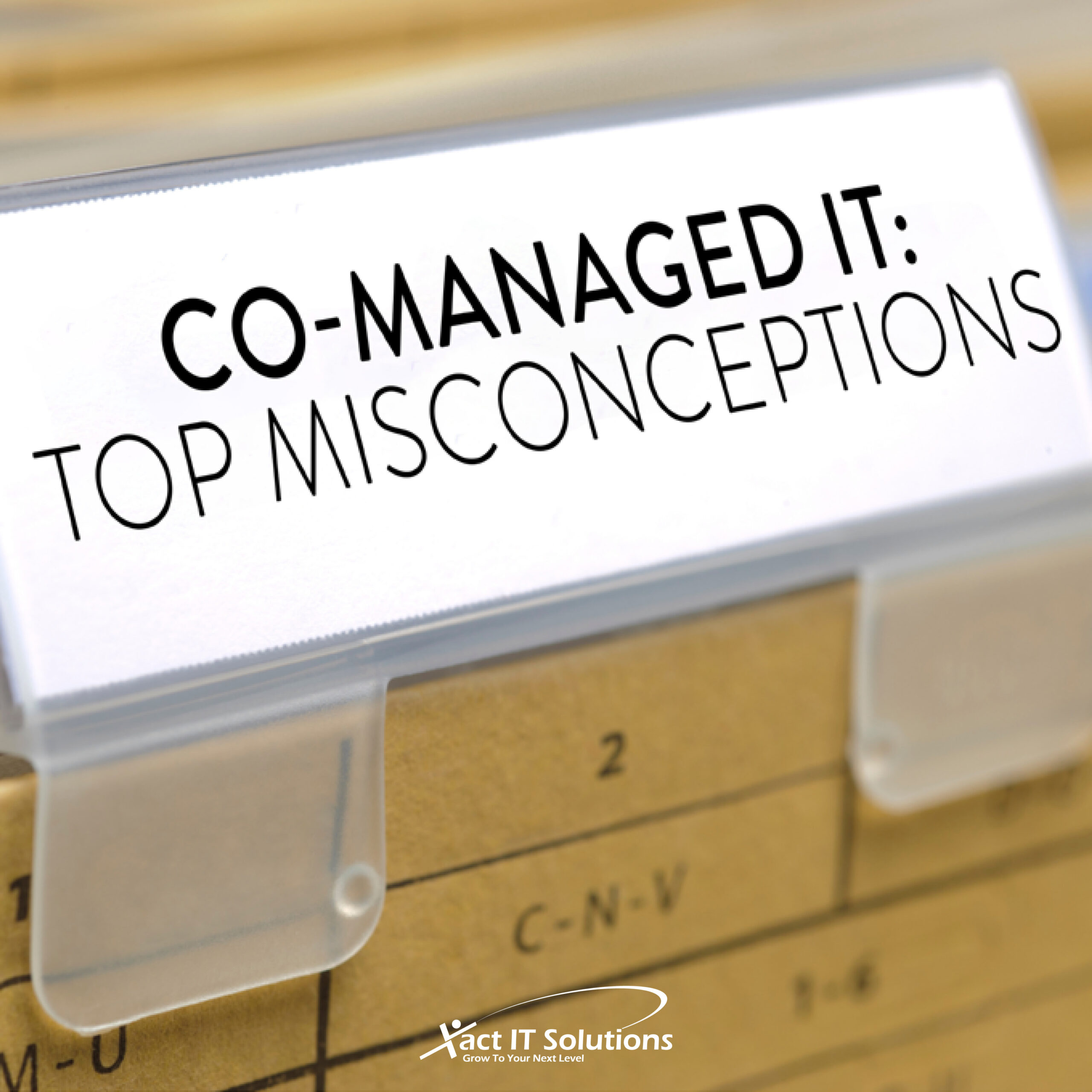 Top 4 Co-Managed IT Myths