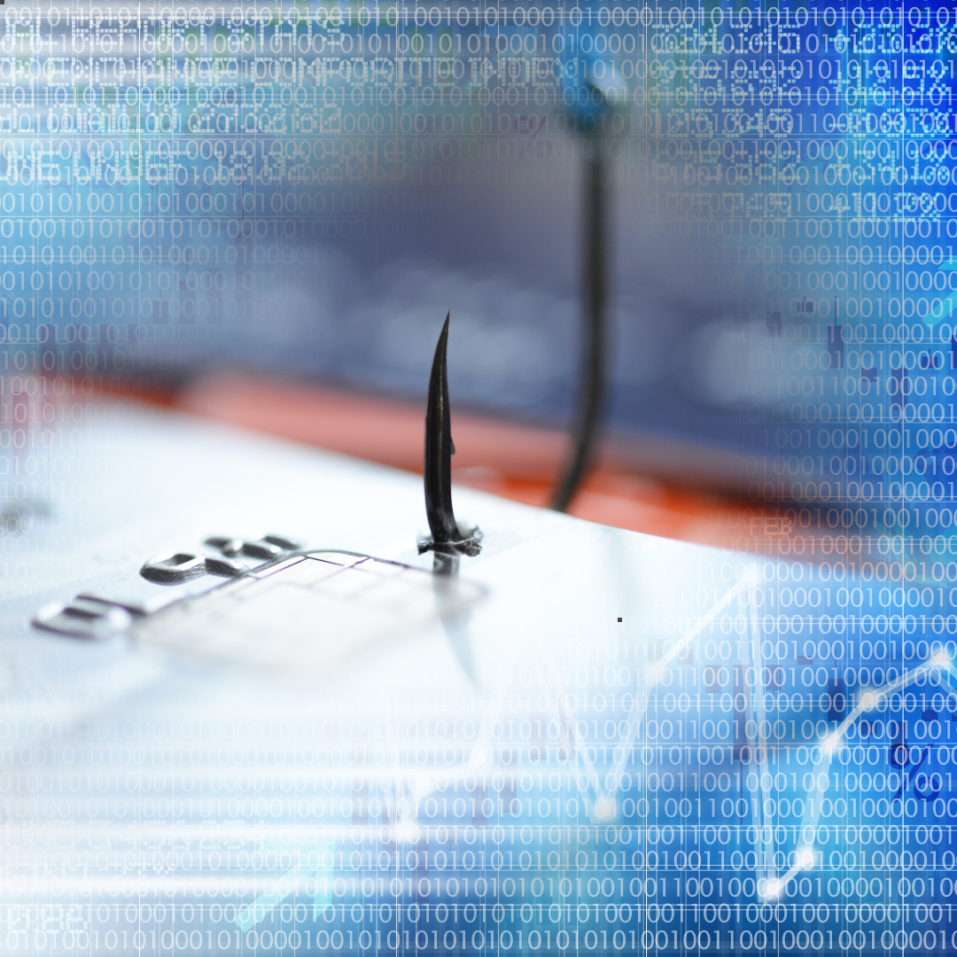 Don’t Get Hooked: Understanding and Preventing Phishing Scams